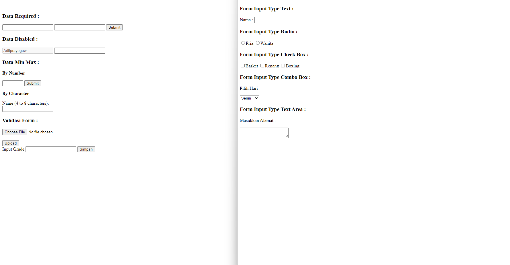 Belajar Elemen Form